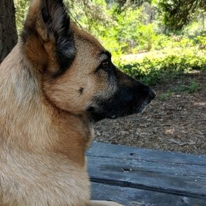 Meet your Posher, Stacy